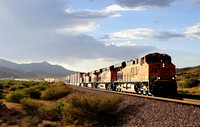 Arizona 2010